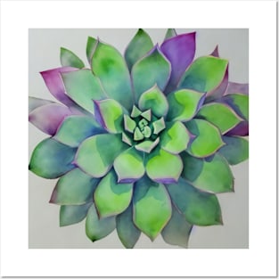 Watercolor succulent Posters and Art